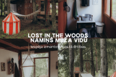 1-DAY ADVENTURE: VW CAMPER TRIP TO KANDAVA (FOR 4 PEOPLE)